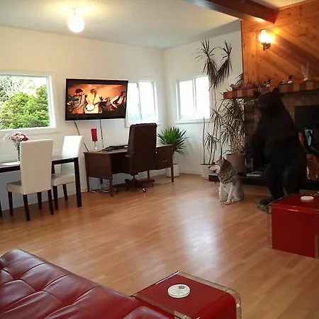 Enchanted Rainforest Guesthouse-2